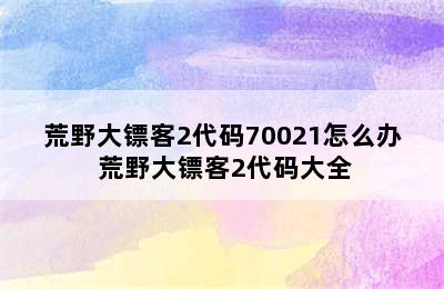 荒野大镖客2代码70021怎么办 荒野大镖客2代码大全